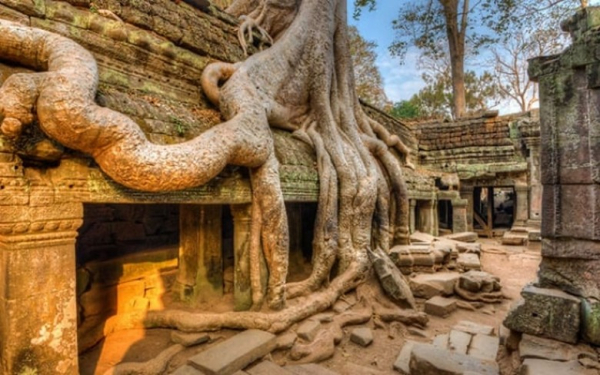 Đền Ta Prohm Angkor: Ngôi Đền Rễ Cây Trong Phim Tomb Raider & Lưu Ý
