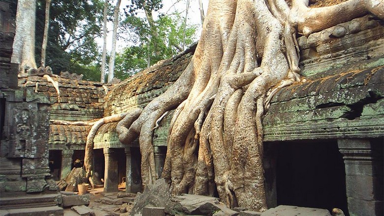 Leo Đền Angkor Có Mệt Không? Độ Khó Từng Đền, Khung Giờ Mát