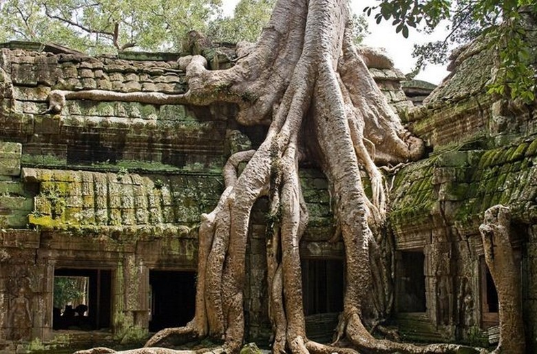 Quần Thể Angkor Gồm Những Đền Nào? Cách Sắp Lịch Trình Tham Quan