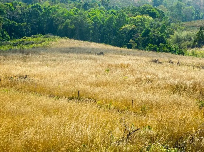 Cao Nguyên Voi Mondulkiri Có Gì?