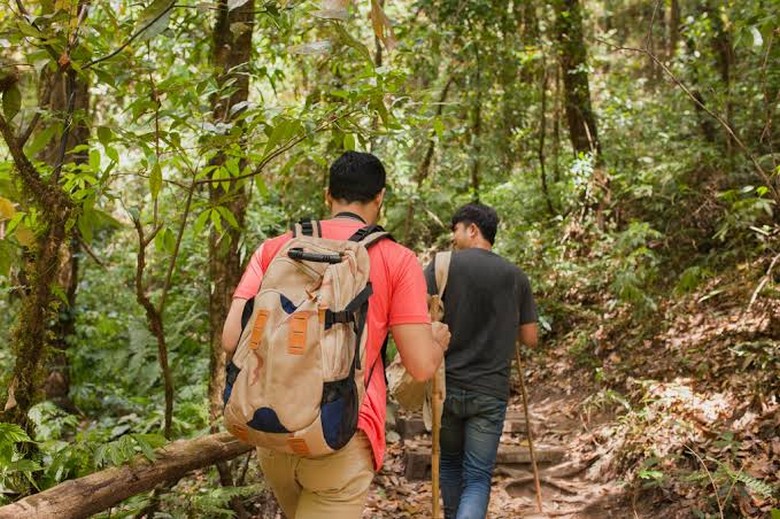 Cao Nguyên Voi Mondulkiri Có Gì?