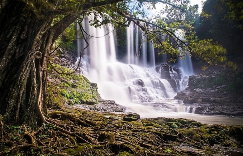 Cao Nguyên Voi Mondulkiri Có Gì?